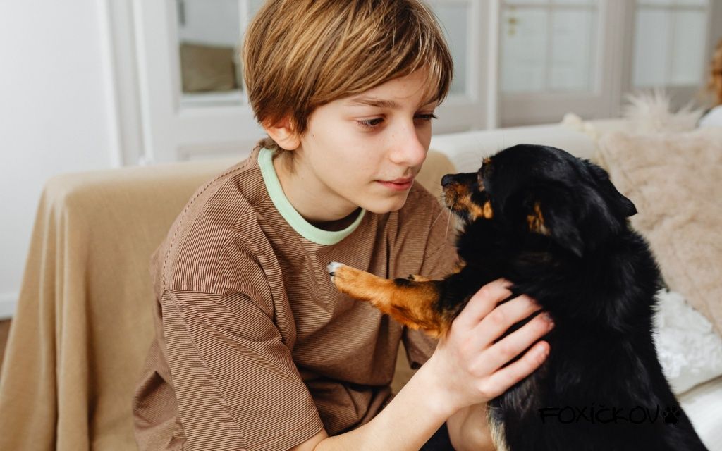 Jak vybrat vhodné psí plemeno pro děti?