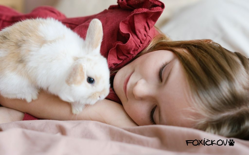 7 tipů na to, jak zabavit králíka